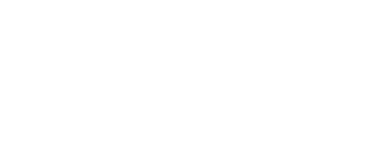 Carlsberg — partner Connectuj.me